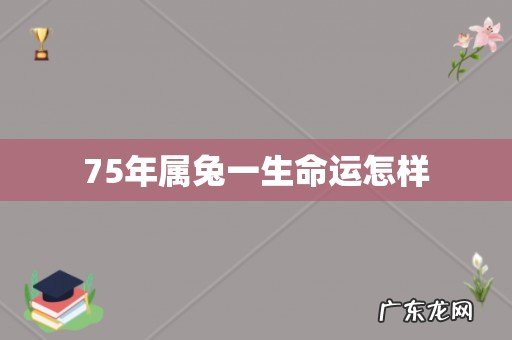 75年属兔一生命运怎样
