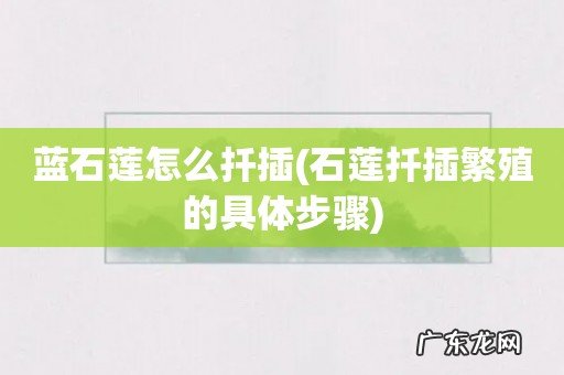 石莲扦插繁殖的具体步骤 蓝石莲怎么扦插