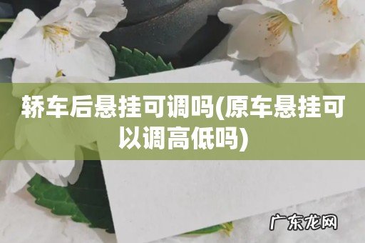 原车悬挂可以调高低吗 轿车后悬挂可调吗
