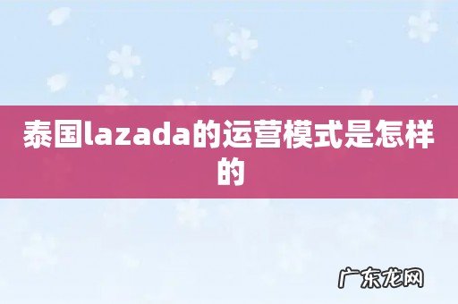 泰国lazada的运营模式是怎样的
