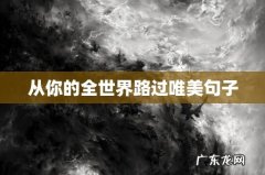 从你的全世界路过唯美句子