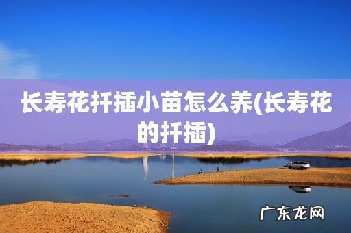 长寿花的扦插 长寿花扦插小苗怎么养