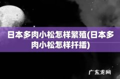 日本多肉小松怎样扦插 日本多肉小松怎样繁殖