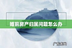 婚前房产归属问题怎么办