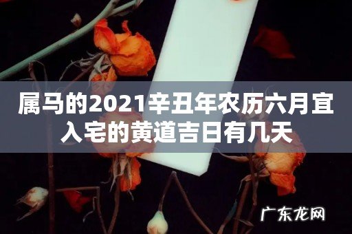 属马的2021辛丑年农历六月宜入宅的黄道吉日有几天
