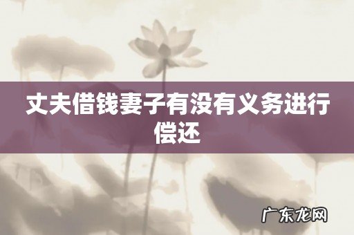 丈夫借钱妻子有没有义务进行偿还