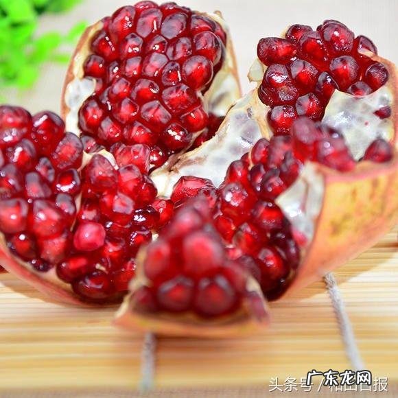 干果种类大全名字图片 干果种类大全名字