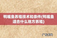 鸭嘴鱼适合什么地方养殖 鸭嘴鱼养殖技术和条件
