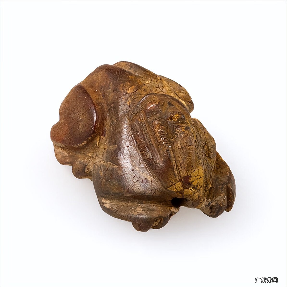 猫狮金鱼和虎头的区别 狮形与虎形风水区别