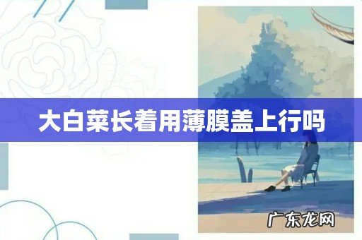 大白菜长着用薄膜盖上行吗