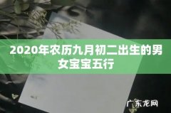 2020年农历九月初二出生的男女宝宝五行
