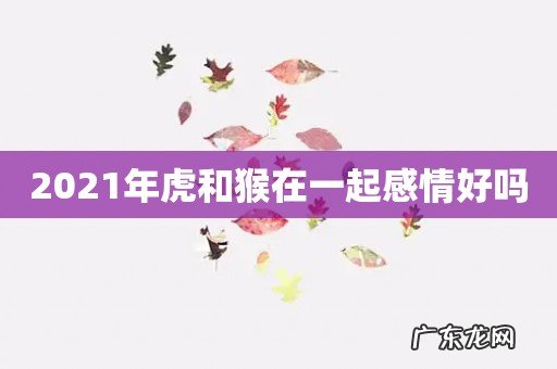 2021年虎和猴在一起感情好吗