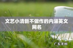 文艺小清新不做作的内涵英文网名