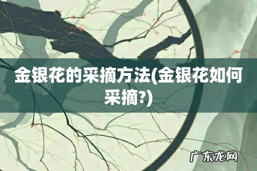 金银花如何采摘? 金银花的采摘方法