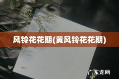 黄风铃花花期 风铃花花期