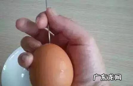 用鸡蛋壳做的手工作品 鸡蛋壳手工制作大全