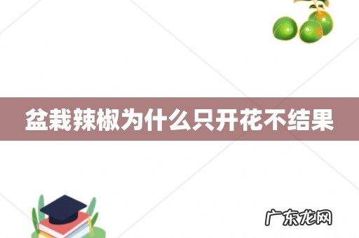 盆栽辣椒为什么只开花不结果