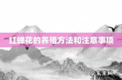 红蝉花的养殖方法和注意事项