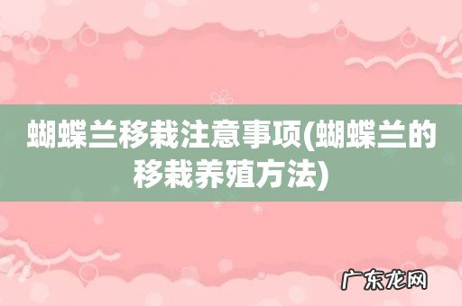 蝴蝶兰的移栽养殖方法 蝴蝶兰移栽注意事项