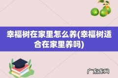 幸福树适合在家里养吗 幸福树在家里怎么养