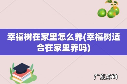 幸福树适合在家里养吗 幸福树在家里怎么养