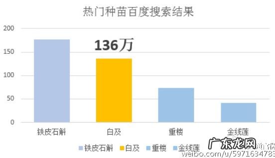 种植白芨有哪些风险？