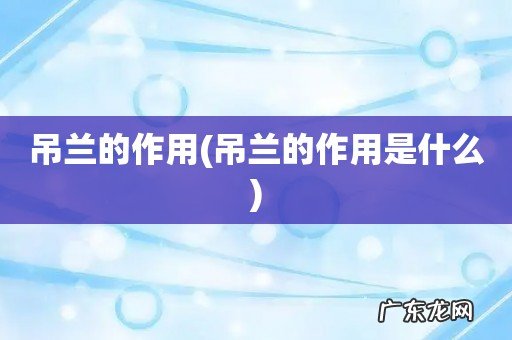 吊兰的作用是什么 吊兰的作用