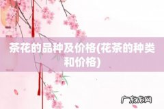 花茶的种类和价格 茶花的品种及价格