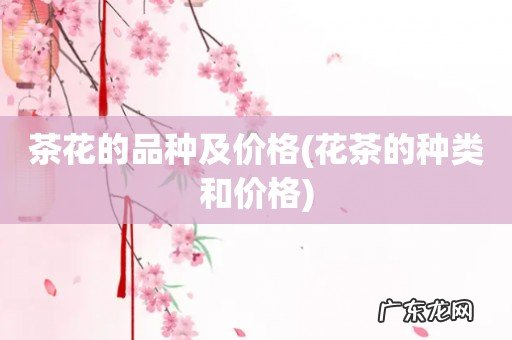 花茶的种类和价格 茶花的品种及价格