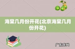 北京海棠几月份开花 海棠几月份开花