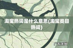 淘宝类目热词 淘宝热词是什么意思