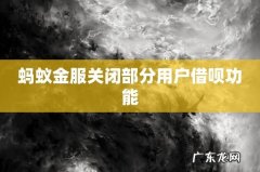 蚂蚁金服关闭部分用户借呗功能