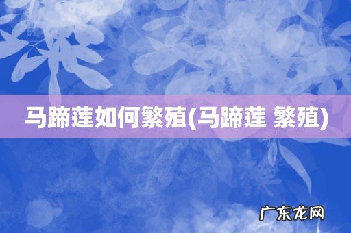 马蹄莲 繁殖 马蹄莲如何繁殖