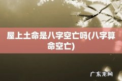 八字算命空亡 屋上土命是八字空亡吗