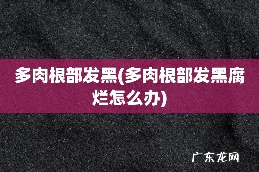 多肉根部发黑腐烂怎么办 多肉根部发黑