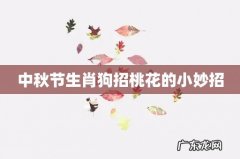 中秋节生肖狗招桃花的小妙招