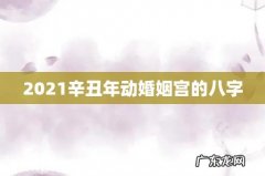 2021辛丑年动婚姻宫的八字