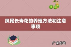 凤尾长寿花的养殖方法和注意事项