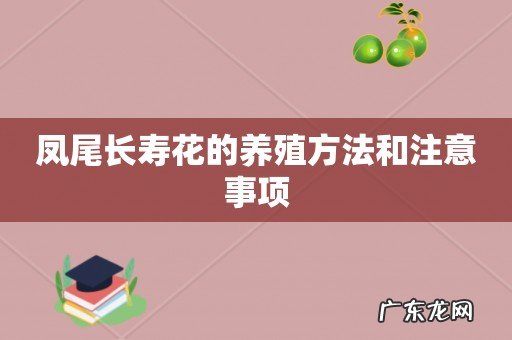 凤尾长寿花的养殖方法和注意事项