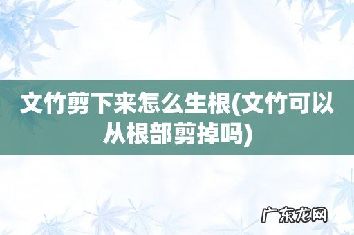 文竹可以从根部剪掉吗 文竹剪下来怎么生根