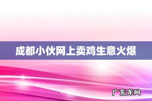 成都小伙网上卖鸡生意火爆