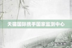 天猫国际携手国家监测中心