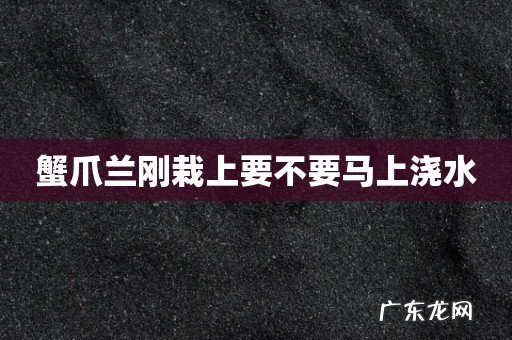 蟹爪兰刚栽上要不要马上浇水