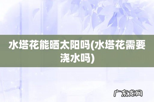 水塔花需要浇水吗 水塔花能晒太阳吗