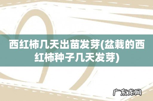 盆栽的西红柿种子几天发芽 西红柿几天出苗发芽
