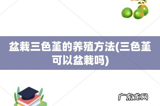 三色堇可以盆栽吗 盆栽三色堇的养殖方法