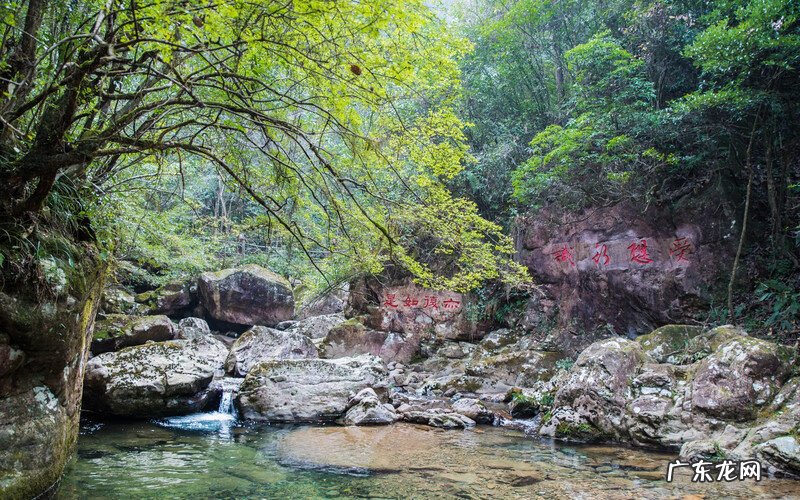 遂昌千佛山风景区天气 遂昌千佛山大佛