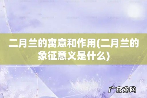 二月兰的象征意义是什么 二月兰的寓意和作用