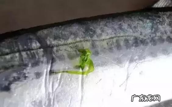 鲅鱼的做法 青岛鲅鱼的做法大全