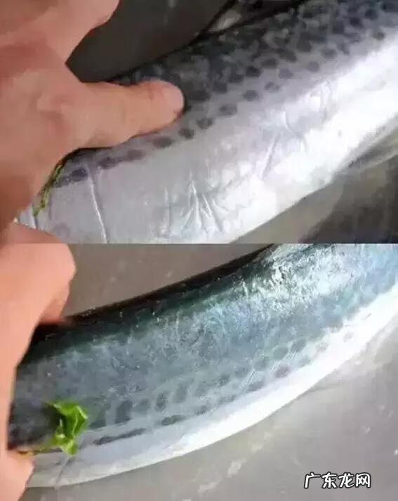 鲅鱼的做法 青岛鲅鱼的做法大全